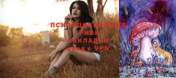 синтетический гашиш Арсеньев